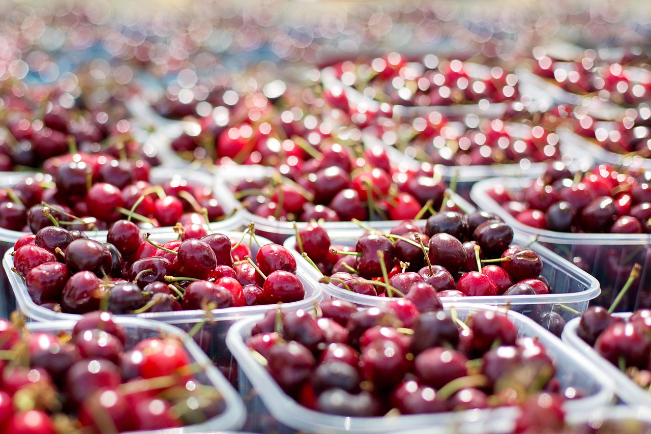 Cherries, fruit, tubs — Flexible Online Learning Designed for Aspiring Drug Discovery Professionals
